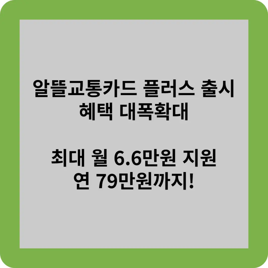 알뜰교통카드 플러스 출시 혜택 대폭확대 최대 월 6.6만원 지원
연 79만원까지!