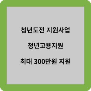 청년도전 지원사업 청년고용지원 최대 300만원 지원