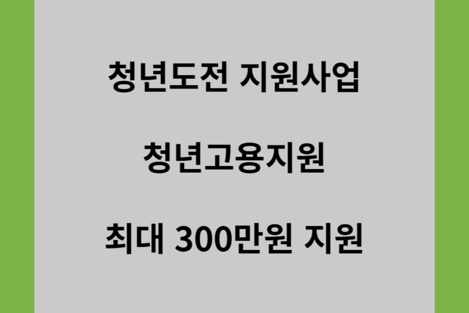 청년도전 지원사업 청년고용지원 최대 300만원 지원