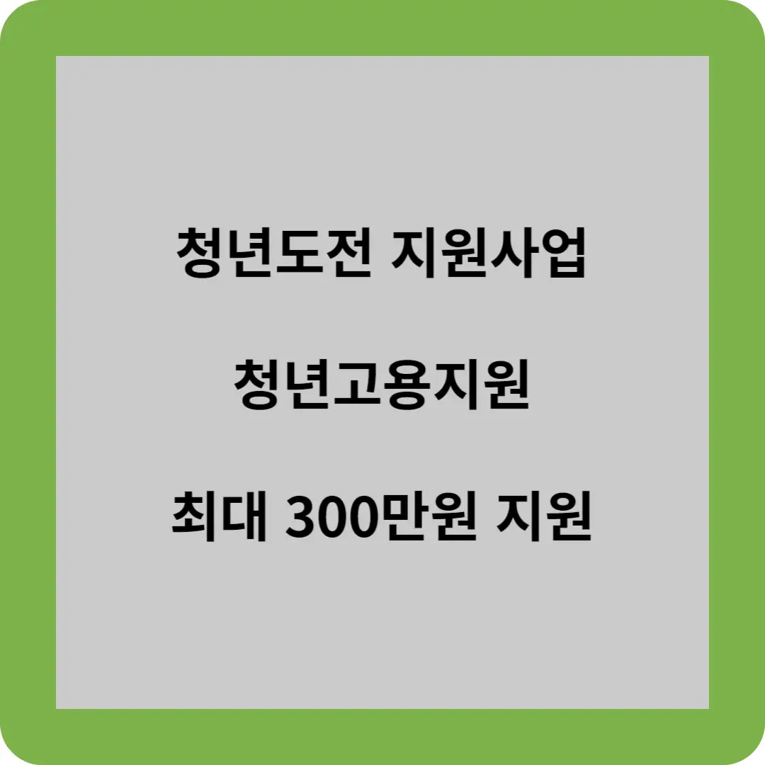 청년도전 지원사업
청년고용지원
최대 300만원 지원