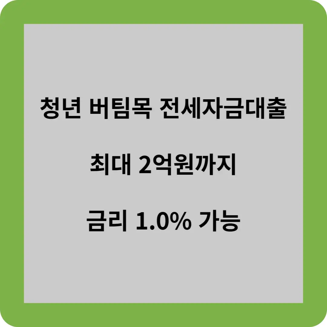 청년 버팀목 전세자금대출
최대 2억원까지
금리 1.0% 까지 가능
