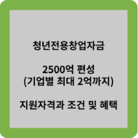 청년전용창업자금 2500억 편성(기업별 최대 2억까지) 지원자격과 조건 및 혜택