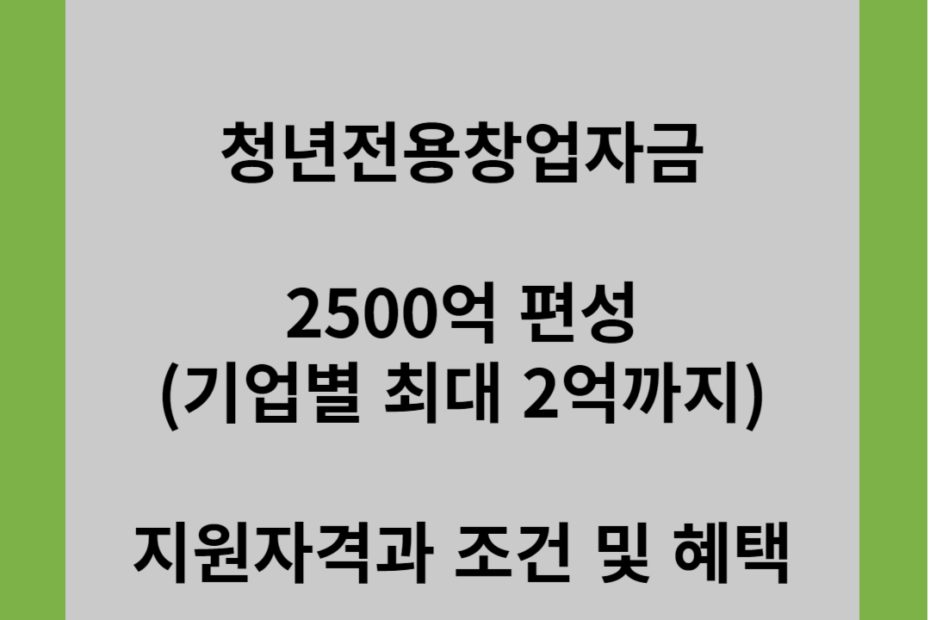 청년전용창업자금 2500억 편성(기업별 최대 2억까지) 지원자격과 조건 및 혜택
