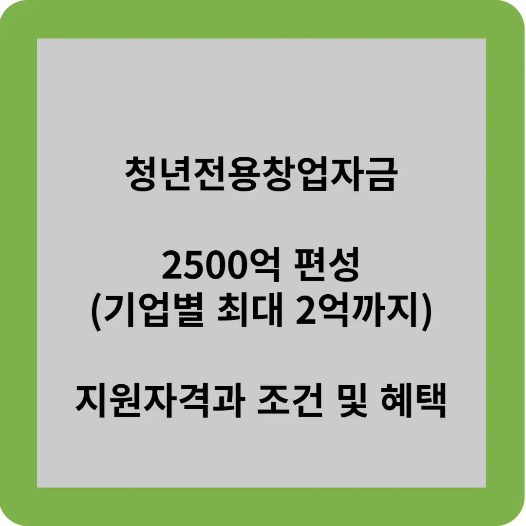 청년전용창업자금 2500억 편성(기업별 최대 2억까지) 지원자격과 조건 및 혜택