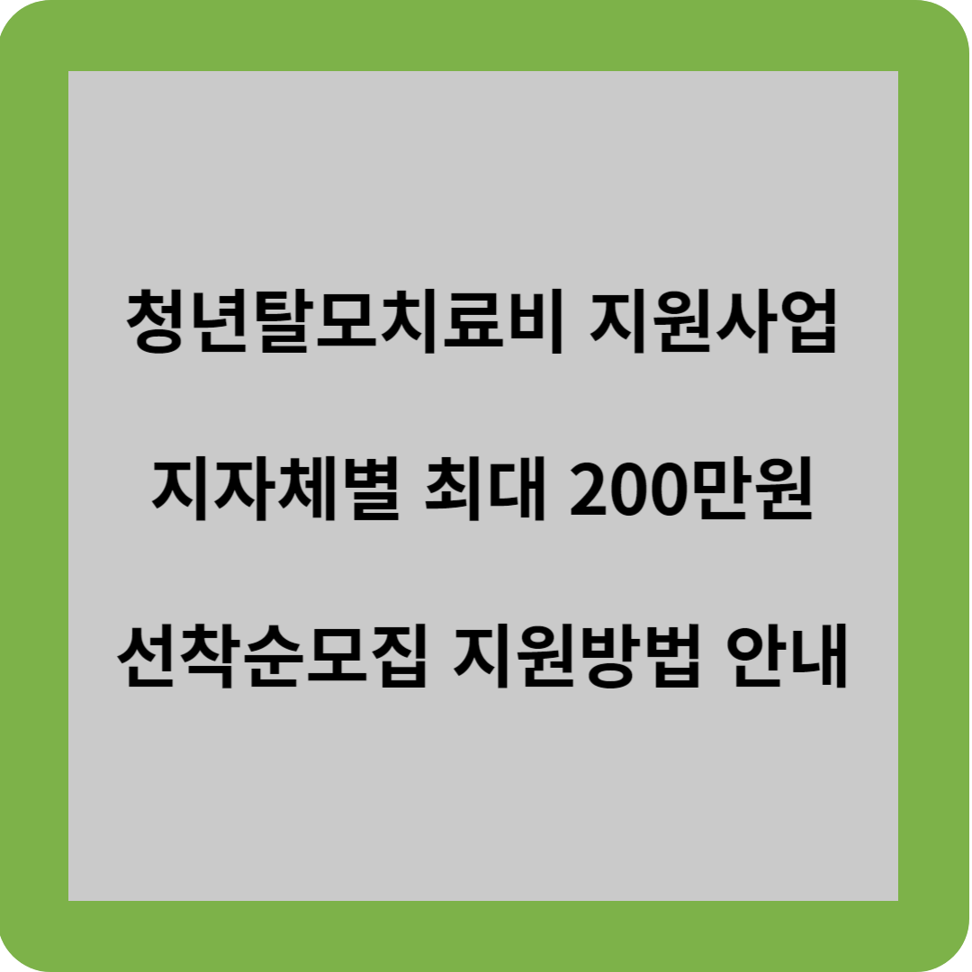 청년탈모치료비 지원사업 지자체별 최대 200만원 선착순모집 지원방법 안내