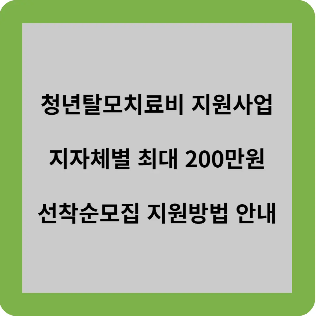청년탈모치료비 지원사업
지자체별 최대 200만원
선착순모집 지원방법 안내